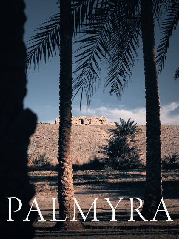 Palmyra Collection