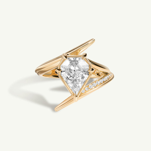 Salt and Pepper Diamond Engagement Ring Geometric Shield Cut Diamond W –  JayKrishna Diamond